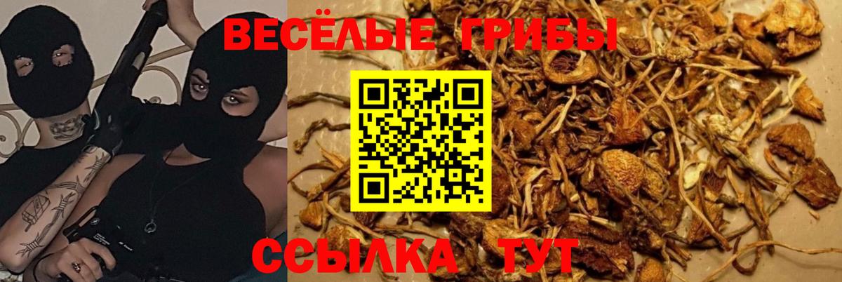 Псилоцибиновые грибы ЛСД  Вход с VPN  Псилоцибиновые грибы GOLDEN TEACHER  Кубинка 